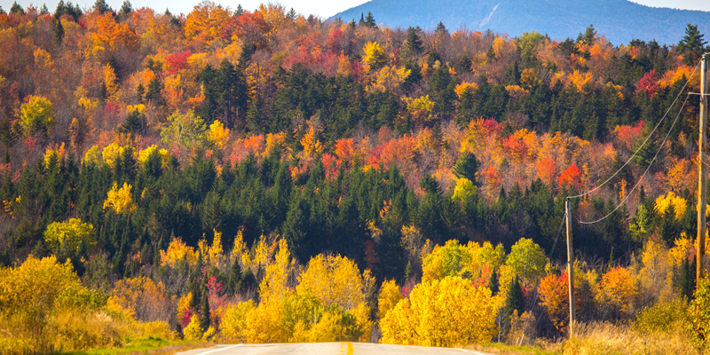 Hwy 58 in Vermont - Photo by Peter Thody